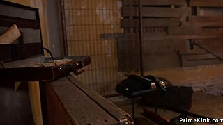 The tied thief gets roughly banged by a man with a big cock.