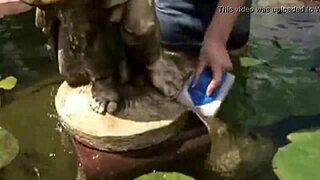 Ever seen a teen 18+ taking a huge cumshot? Watch her get covered.