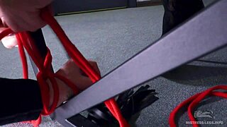 worship her pantyhose feet in high heels