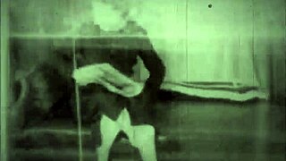 dark lantern entertainment presents women with animals