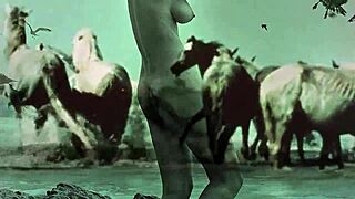 dark lantern entertainment presents women with animals