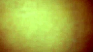 Solangie Nalgitas Shows Off Stunning Curves in Wild Action