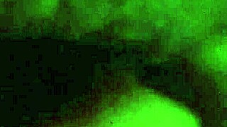 i'm biggwest with my pussy in reality