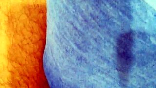 Feeling the thrill of a monster cock in wife's underwear, the sexy shemale teen explores her desires alone.