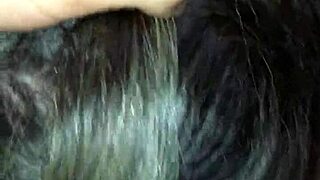 ब्लैक अफ्रीकन ट्विंक्स बेयरबैक थ्रीसम फकिंग में