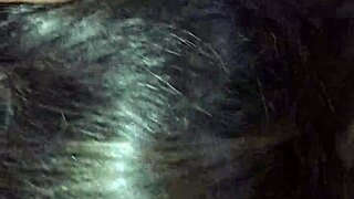 ब्लैक अफ्रीकन ट्विंक्स बेयरबैक थ्रीसम फकिंग में