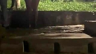 Want to see Bella dogging with 10 guys?