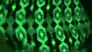 i bent over for doggystyle in the parking lot, groping beautiful tits and pussy