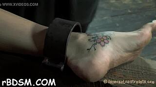 What is this magnificent sweetie doing with herself in private?