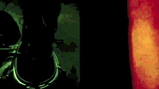 Can you handle two centuries of hairy vintage porn delights?