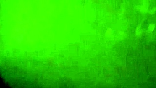 Doggstyle that phat booty thot