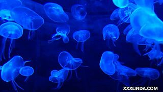 Latina girl next door masturbates her wet pussy intensely