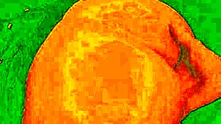 Is my mother-in-law's big ass too tempting?