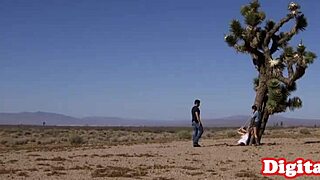 Watch this bigtitted babe sucking that dong hard.