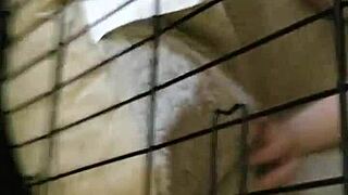 Amateur slave, are you ready to be fucked in the cage?