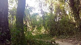 trucker banging a hot milf in the woods 😜