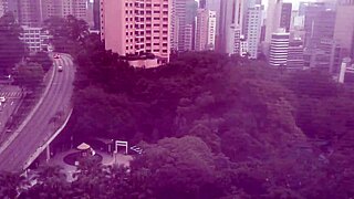 Maid Cleaning The House