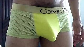 Solo Performance In Gay Video Category