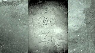 dark lantern entertainment presents two centuries of vintage porn