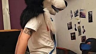 Can you believe this femboy husky fursuiter cums riding his boyfriend's cock?