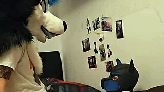 Can you believe this femboy husky fursuiter cums riding his boyfriend's cock?