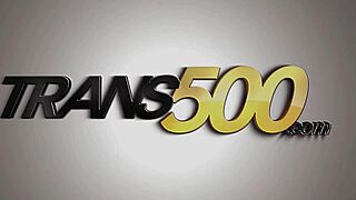 This Beautiful Black Shemale Ms Ebano Gets Pounded So Hard