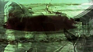 Dark Lantern Presents Beauty and the Beast