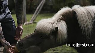 i's the hottest milf tranny licking and blowing cock