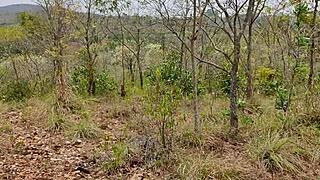 Outdoor banging with my wife’s big ass bent over. Her tight pussy feels amazing.