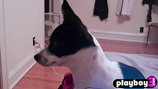 Sexy Big Boobs Babe Reveals Her Shaved Pussy After Hot Striptease Action