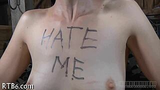 four beauties chilling inside a miniature cage