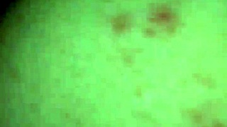 interracial creampie 😏