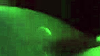 My boyfriend licks me all over and fills me from behind!