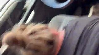 Dirty Dannybear Fucks Walmart Girl in Public Parking Lot Pawg