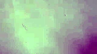 hubby licks and bangs my hairy pussy with raw desire.