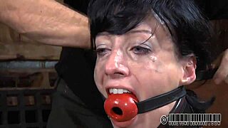 A group of amateurs engage in sadomasochism activities together.