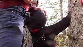 Outdoor Sex in Woods with Sexy Stockings and Heels. Bound, Throated, and Fucked Hard