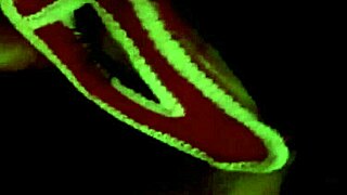 her perfect ass takes that monster cock so well