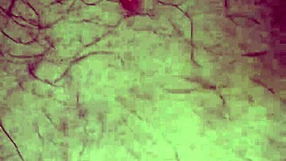 licking my ass hard with intense tongue action