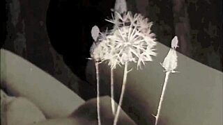 LOOK at this WONDERFUL vintage threesome FUCKING hairy beavers!