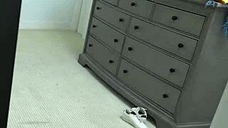 stepsiblings pact logan xander laya rae