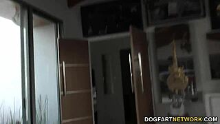 aaliyah love fucks with her trainer - cuckold sessions