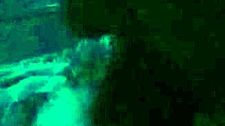 She can't get enough of that monster cock, sucking it with pure emotion