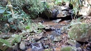 makin’ a wild blowjob at the waterfall, ya know