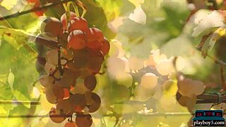 Asian Milf Katana's Sexy Outdoor Striptease