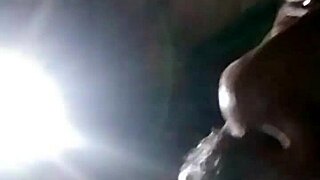 a guy gets a casual blowjob from his partner