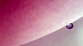 Double Pleasure With Shemale – Can You Handle It?