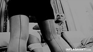 Brunette Babes In Lingerie Lick And Finger Each Other