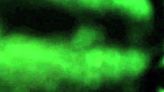 Retro Blue Film Blowjob And Sucking Scene