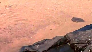 Chubby amateur gives blowjob and handjob before anal in HD.